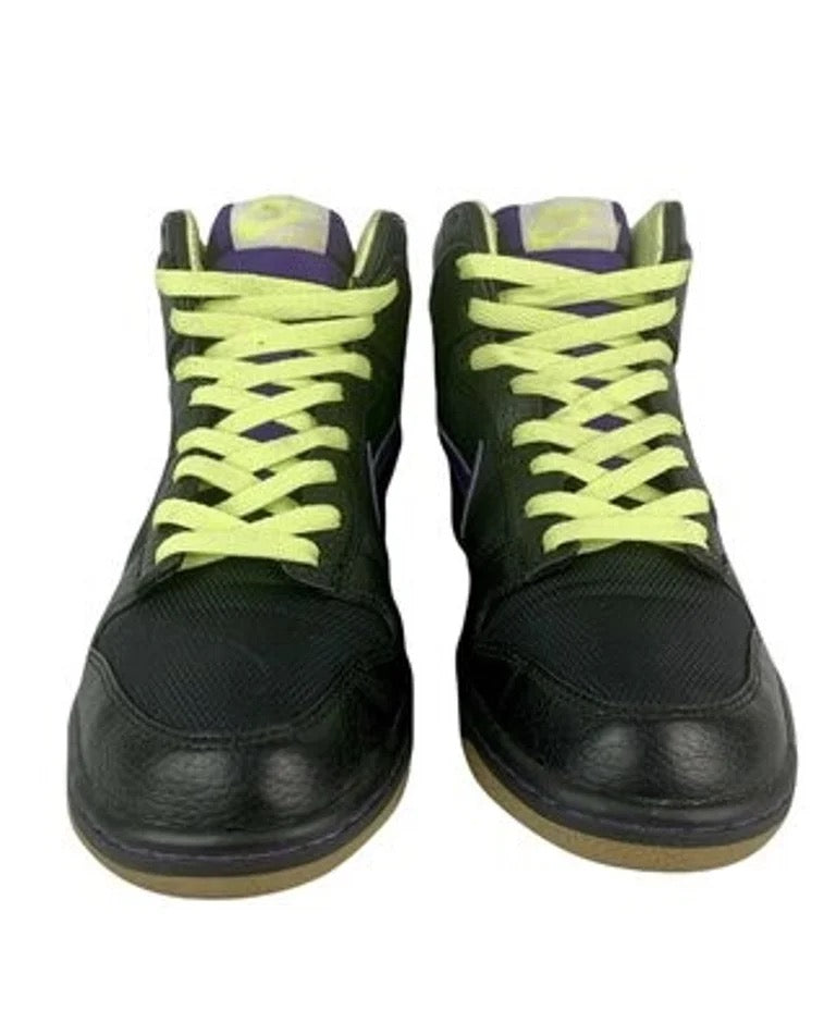 Nike Dunk High Zoom PRM